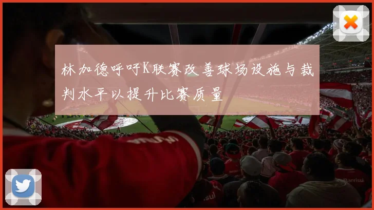 林加德呼吁K联赛改善球场设施与裁判水平以提升比赛质量