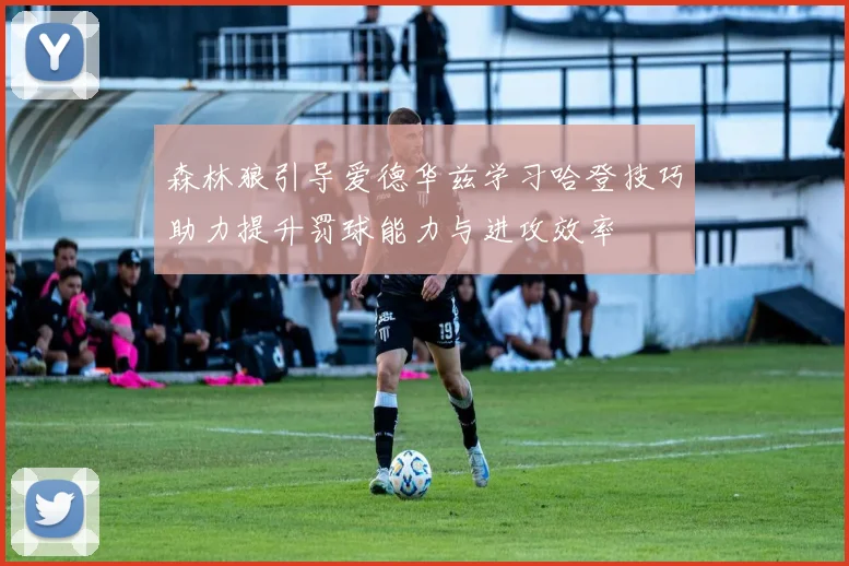 森林狼引导爱德华兹学习哈登技巧助力提升罚球能力与进攻效率