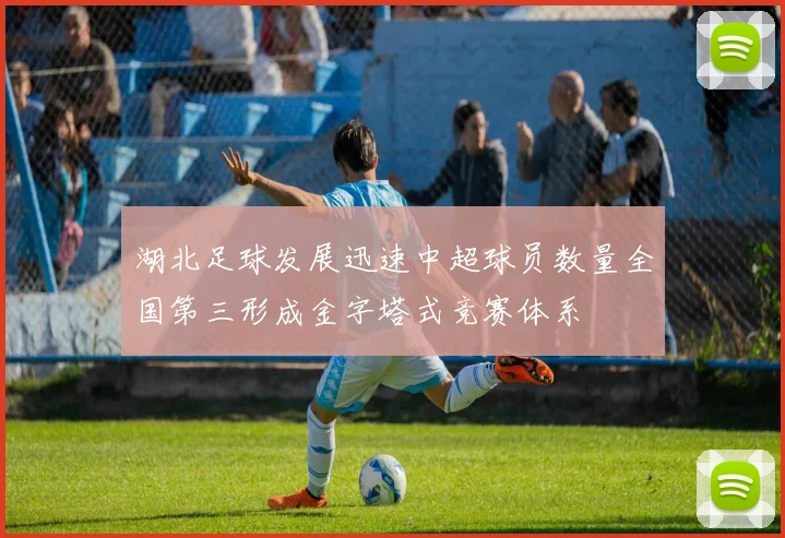 湖北足球发展迅速中超球员数量全国第三形成金字塔式竞赛体系