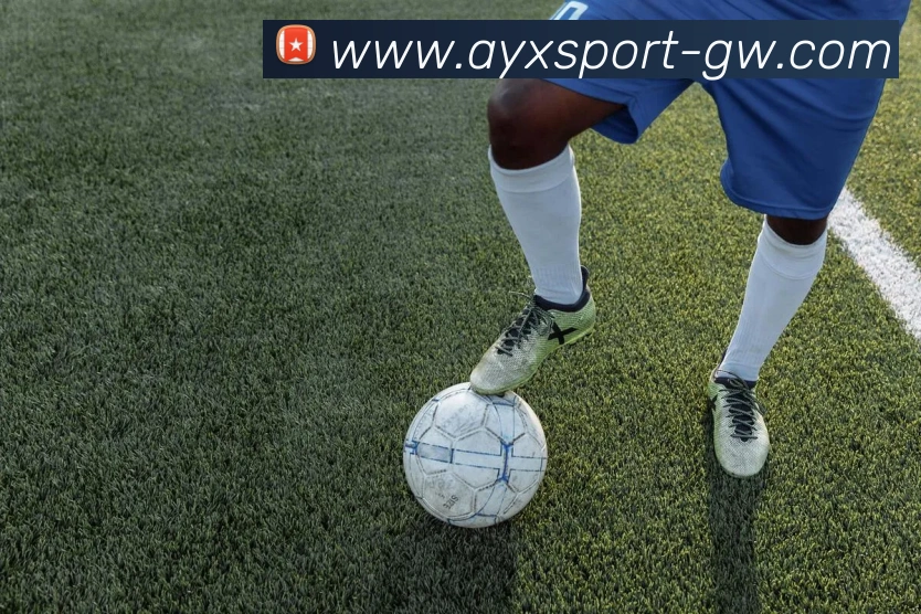 爱游戏APP 封面图