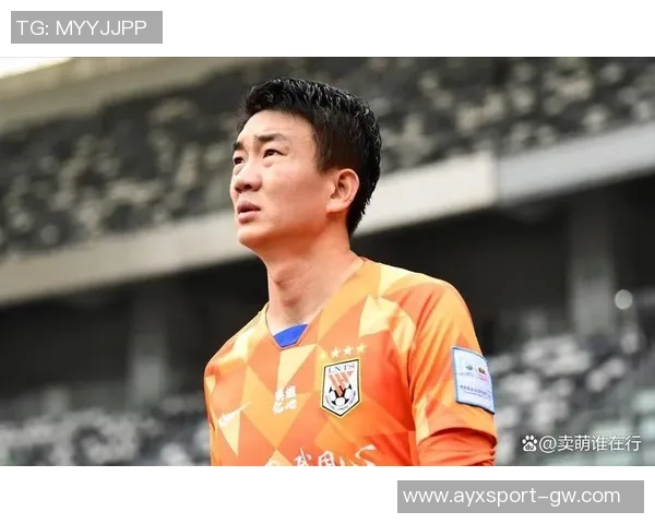 戴琳曾承诺还钱给离世球迷妈妈现状引发媒体关注与质疑